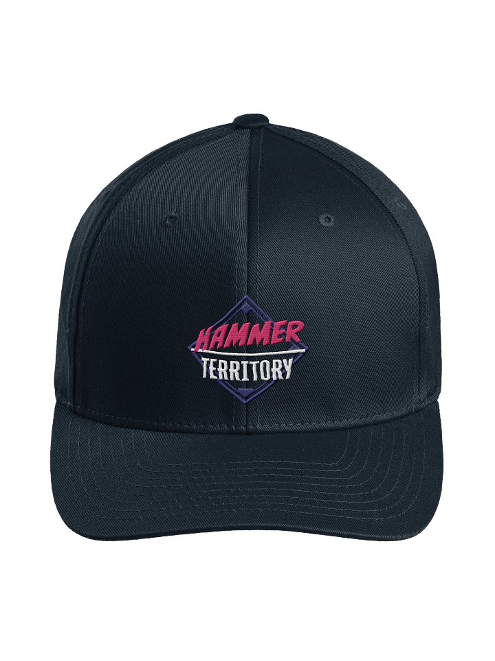Fitted Hat product image (1)