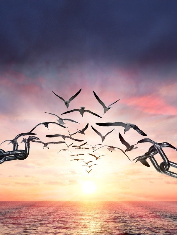 翻牆專屬鏈接 您的私人專用通道 product image (1)