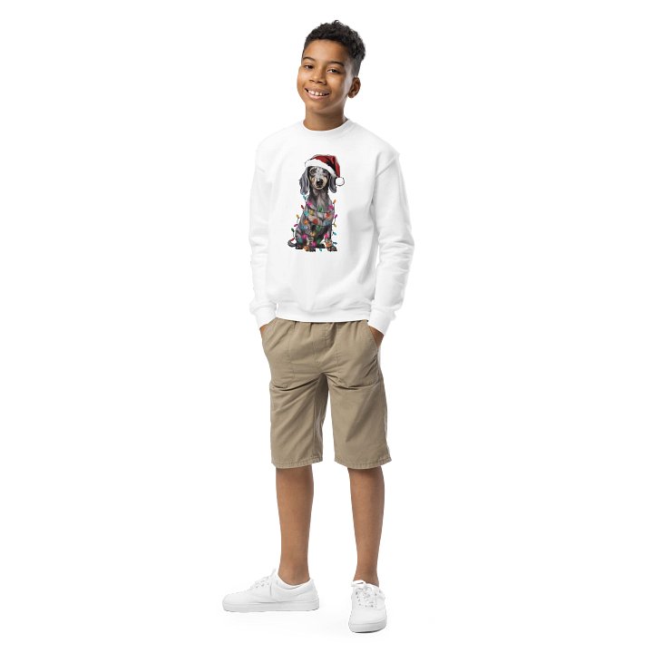 Funny Christmas Dachshund(Dapple) Youth Sweatshirt product image (1)