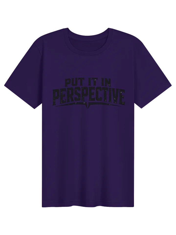 Put It In Perspective T Shirt product image (1)