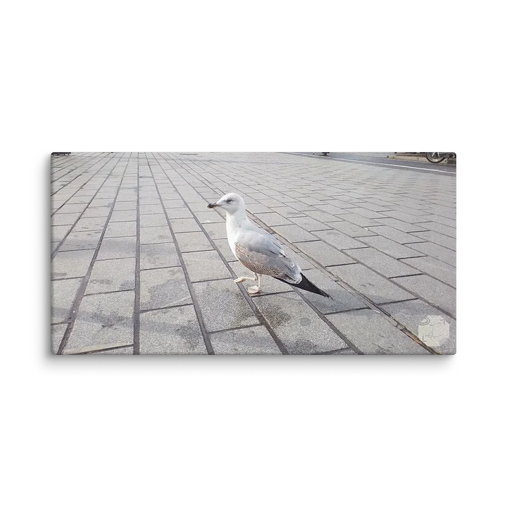 Larus A.- Canvas Fine Art product image (2)