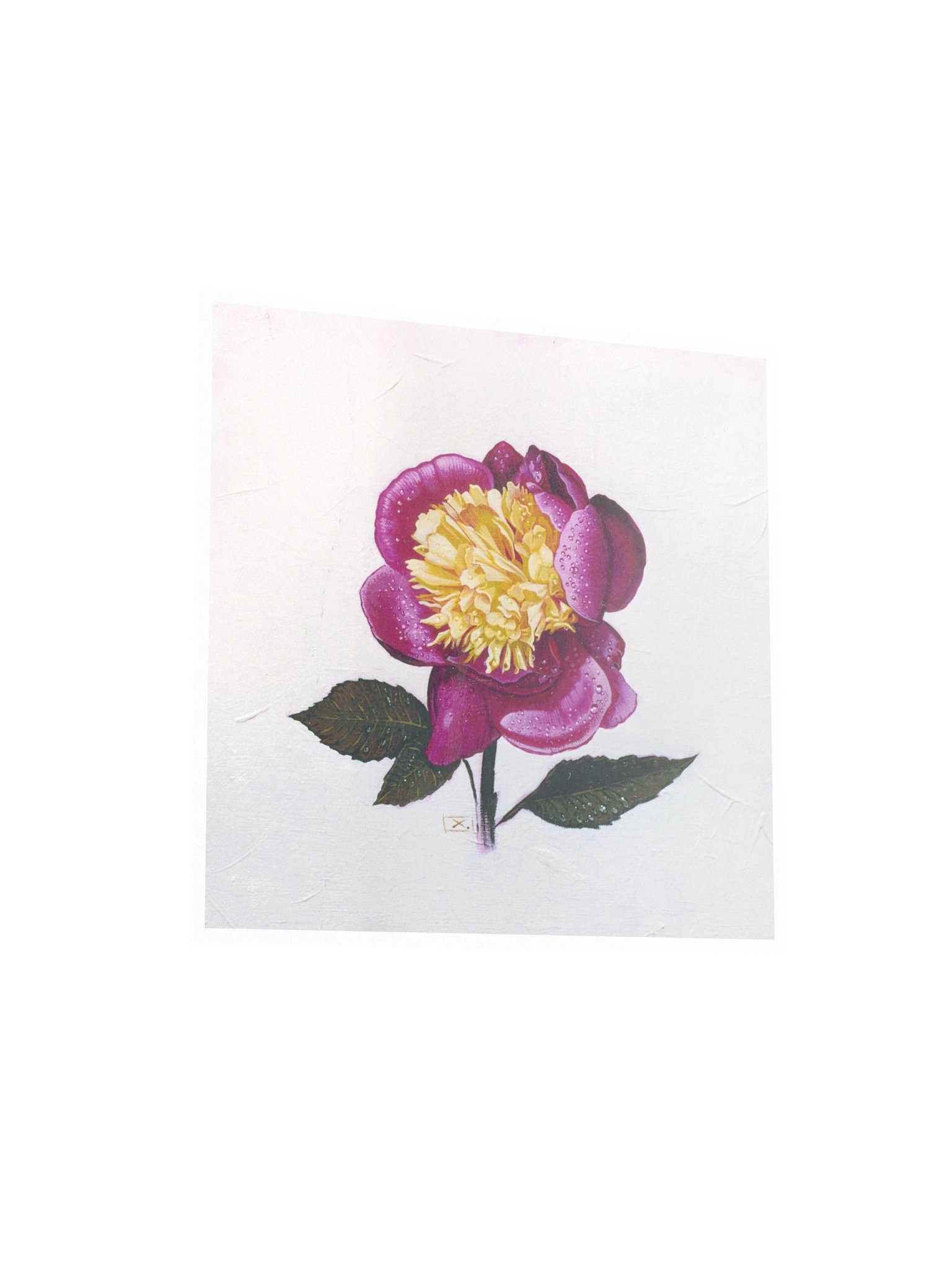 Peony After the Rain product image (3)