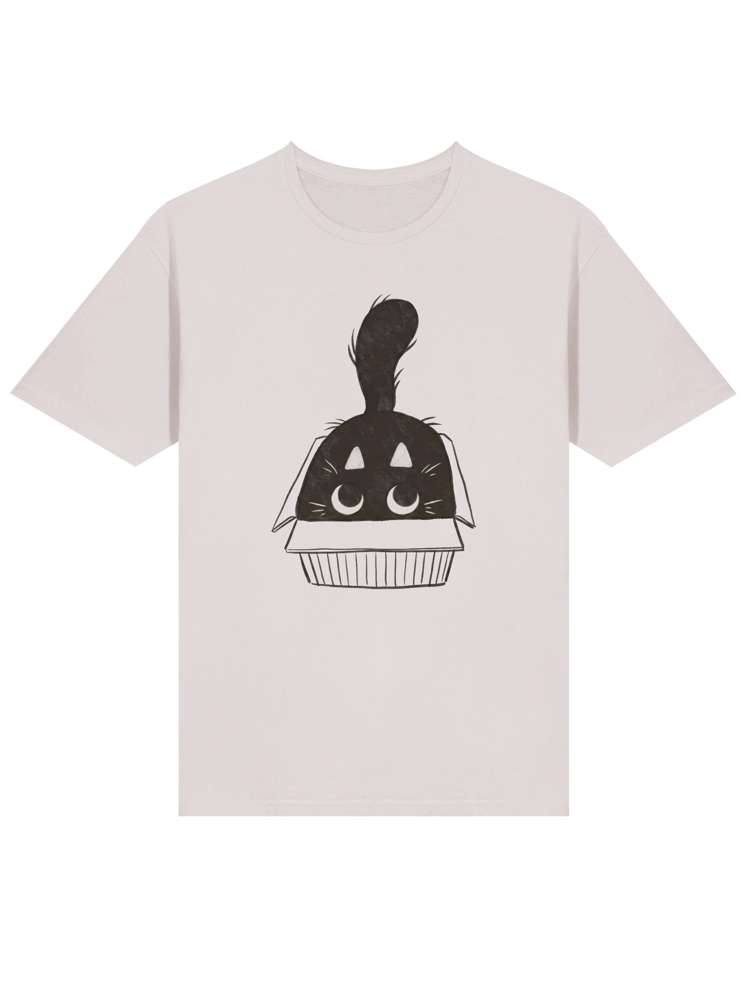 Cat In Box T-Shirt product image (15)