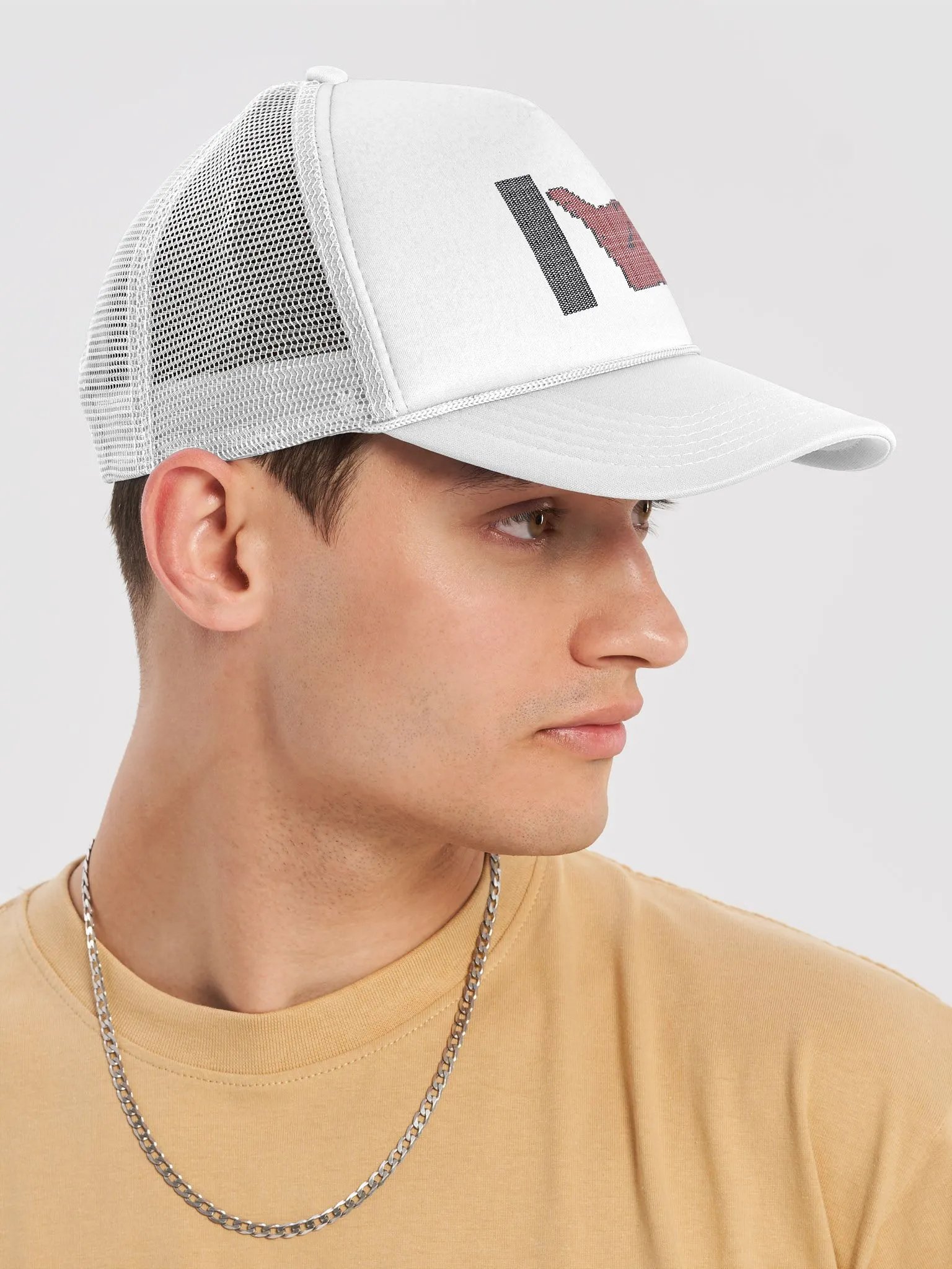 TDI Logo 2 Hat product image (6)