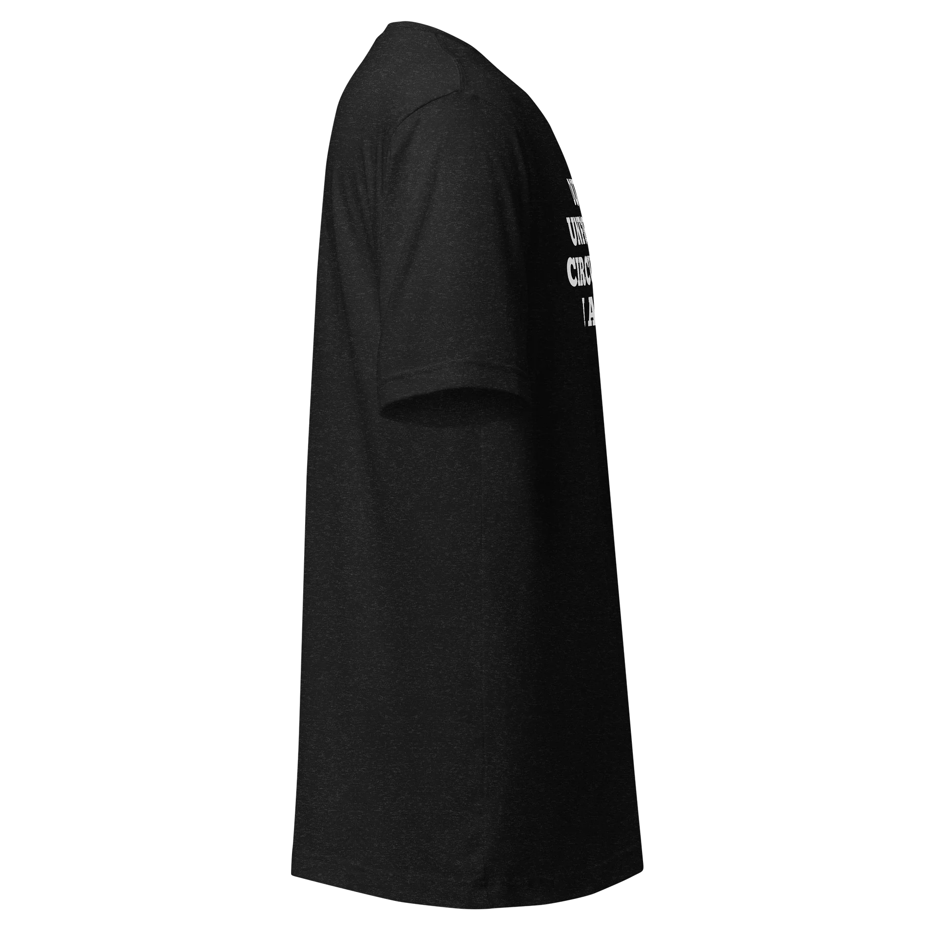 Unfortunate Circumstances product image (19)