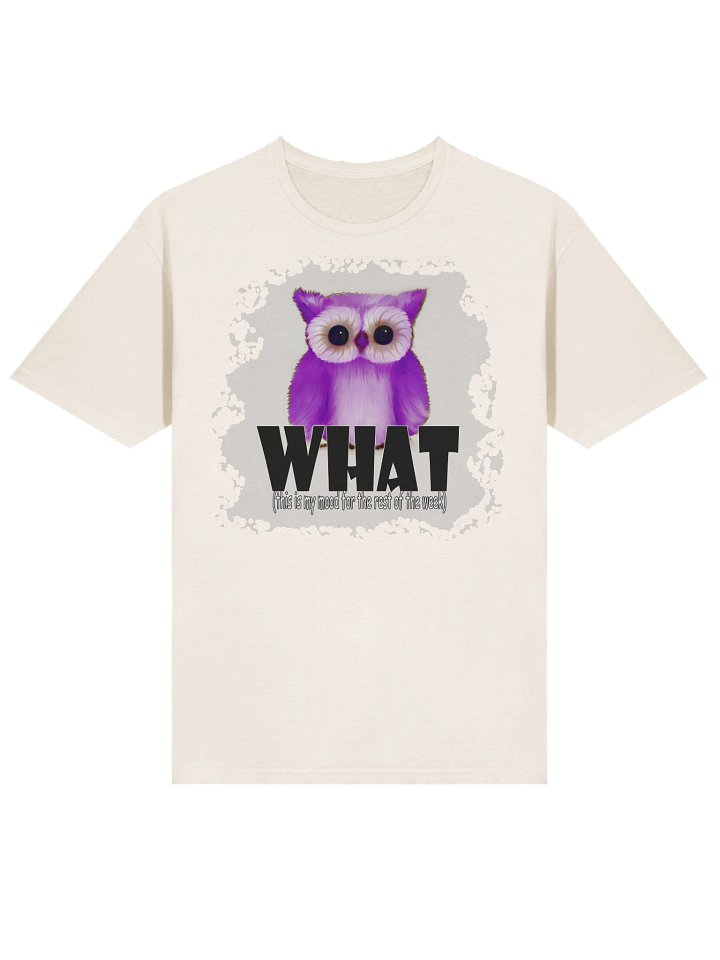 Unisex Gildan Softstyle T-Shirt product image (2)