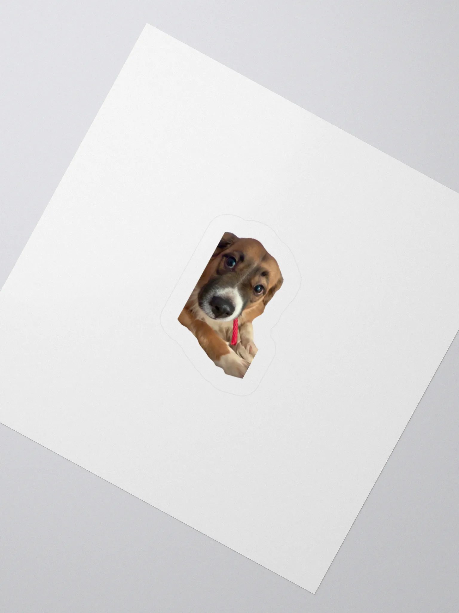 Harry Stickers - Licorice product image (4)