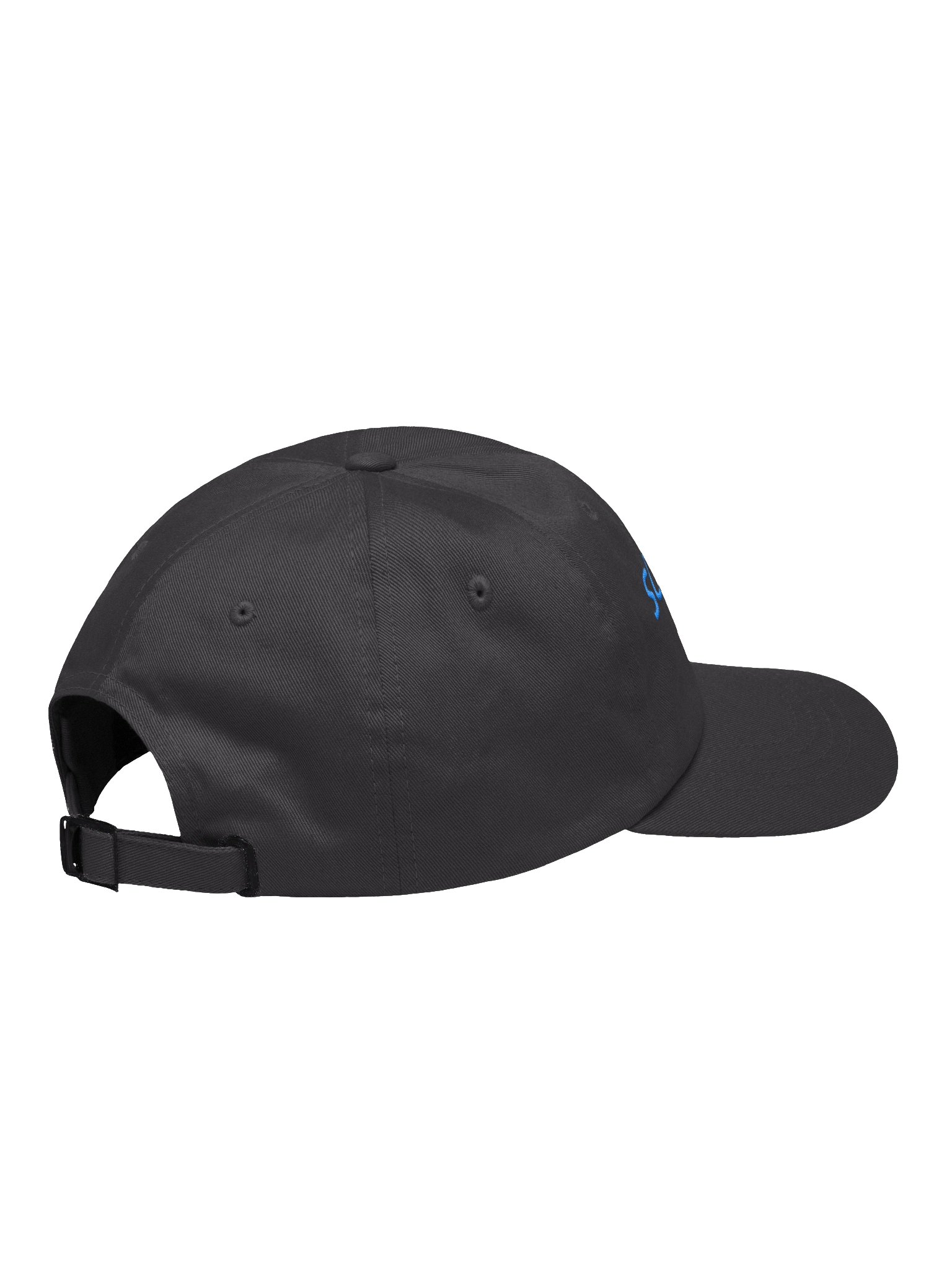 Classic Dad Hat product image (11)