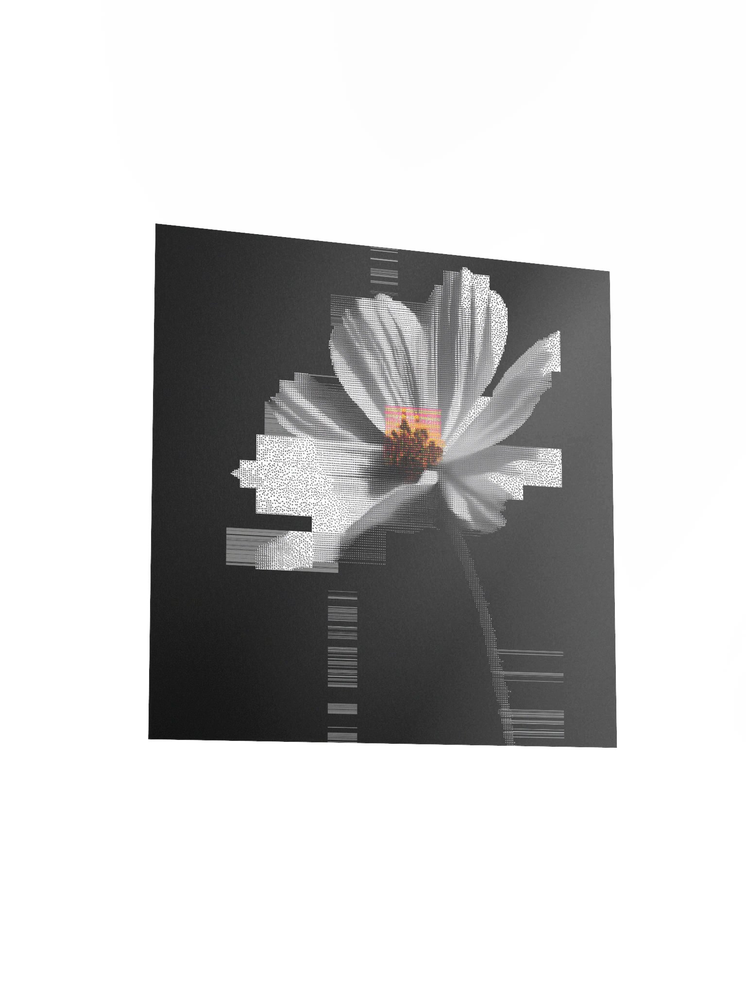 Flora.exe product image (14)