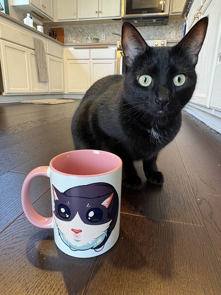 Wittle Kiwi Mug product image (2)