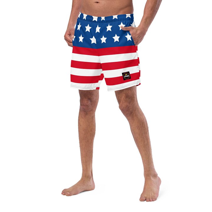 Stars and Stripes Hamburger Swim Trunks product image (2)