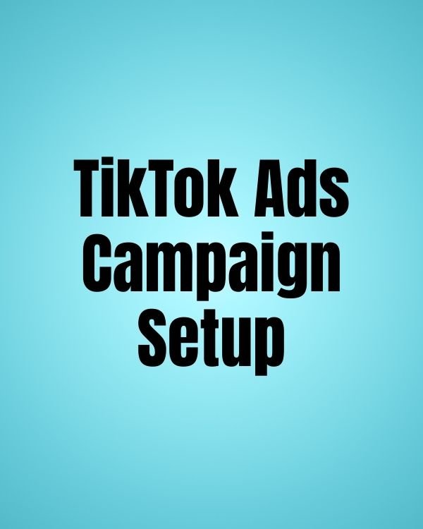 TikTok Ads Campaign Setup product image (1)