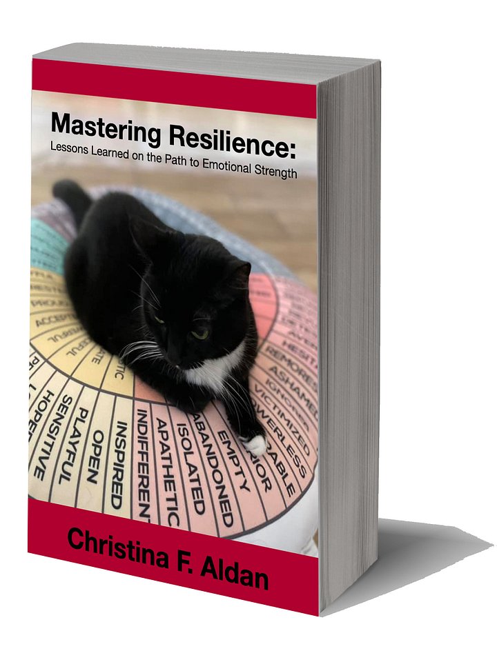Mastering Resilience: Lessons Learned on the Path to Emotional Strength product image (1)