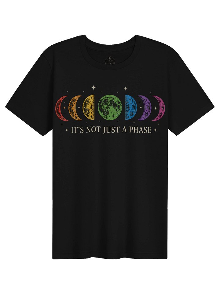 It's Not Just a Phase | Pride Moon Phases Unisex T-Shirt product image (2)