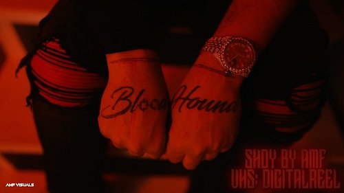 All BloodHounds artists videos we did @mayor.films in 2026-2025
