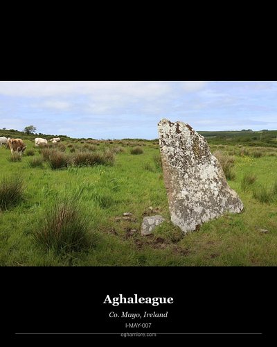 Ogham Stone: Achadh Liag | Aghaleague

Uncovering the ancient world, one stone at a time. Meet the Achadh Liag | Aghaleague o...