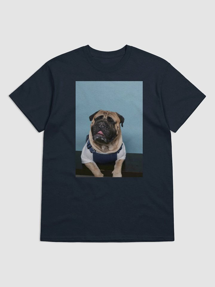 Overalls Meech product image (1)