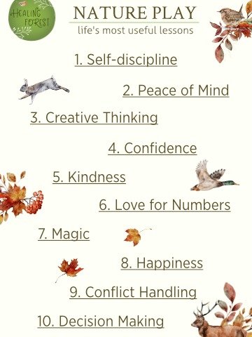 Life's Greatest Lessons | Nature Play product image (2)
