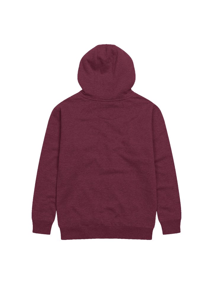 Vampire Skeleton Premium Hoodie product image (10)