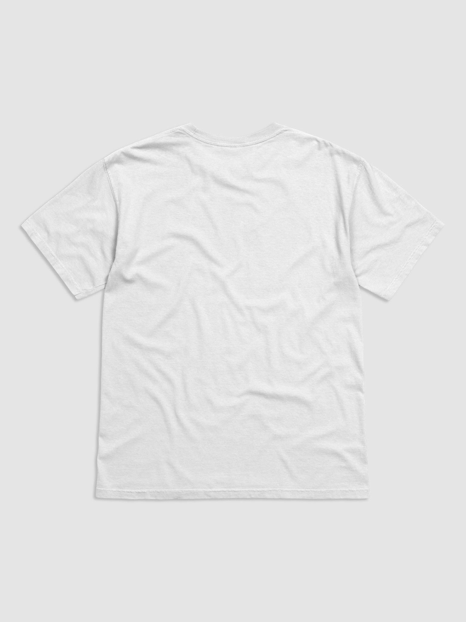 AbsolutRyan Heavyweight T-Shirt (Black Logo) product image (6)