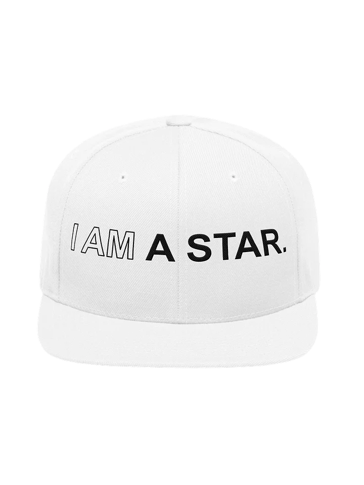 Ten Year Anniversary Cap product image (1)