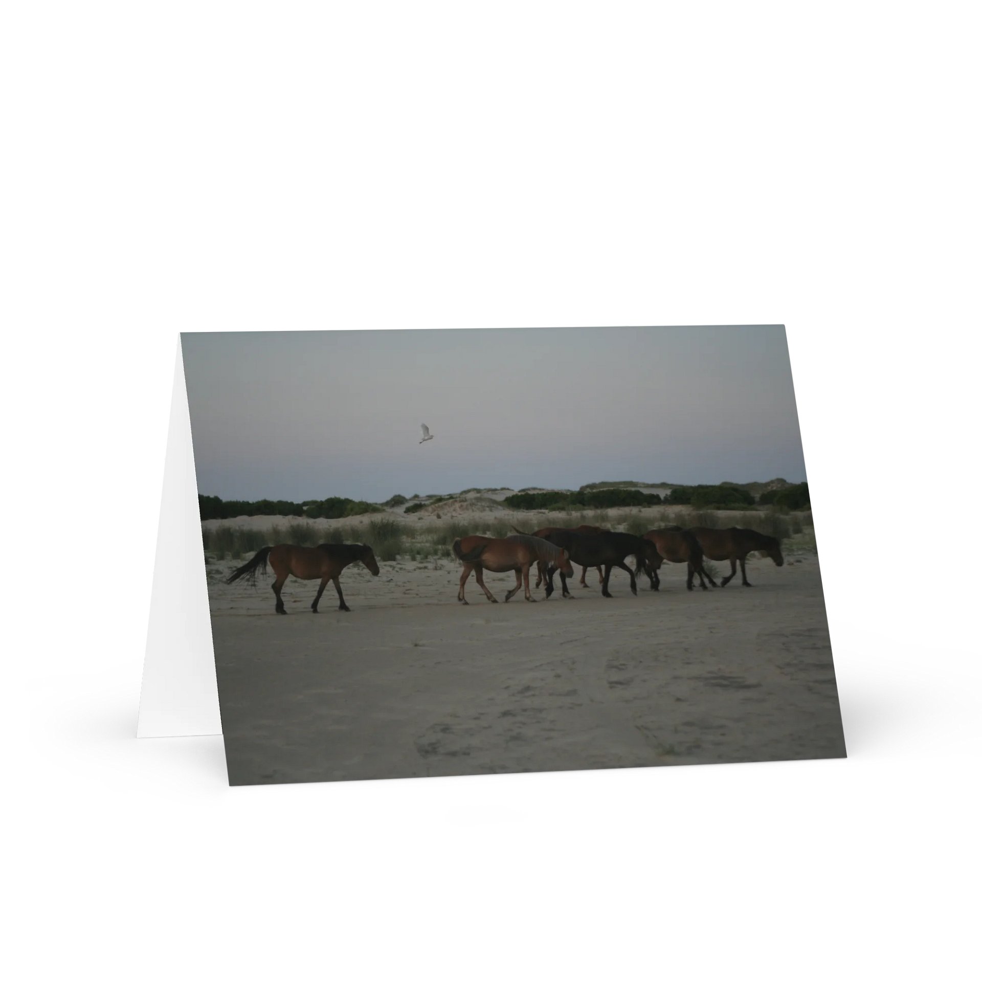 Seaside Serenity Greeting Card product image (1)