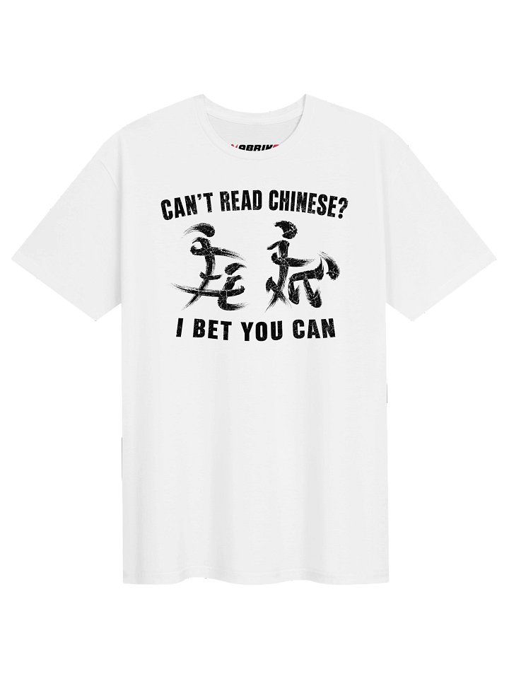 Can’t Read Chinese I Bet You Can Funny T-Shirt product image (1)