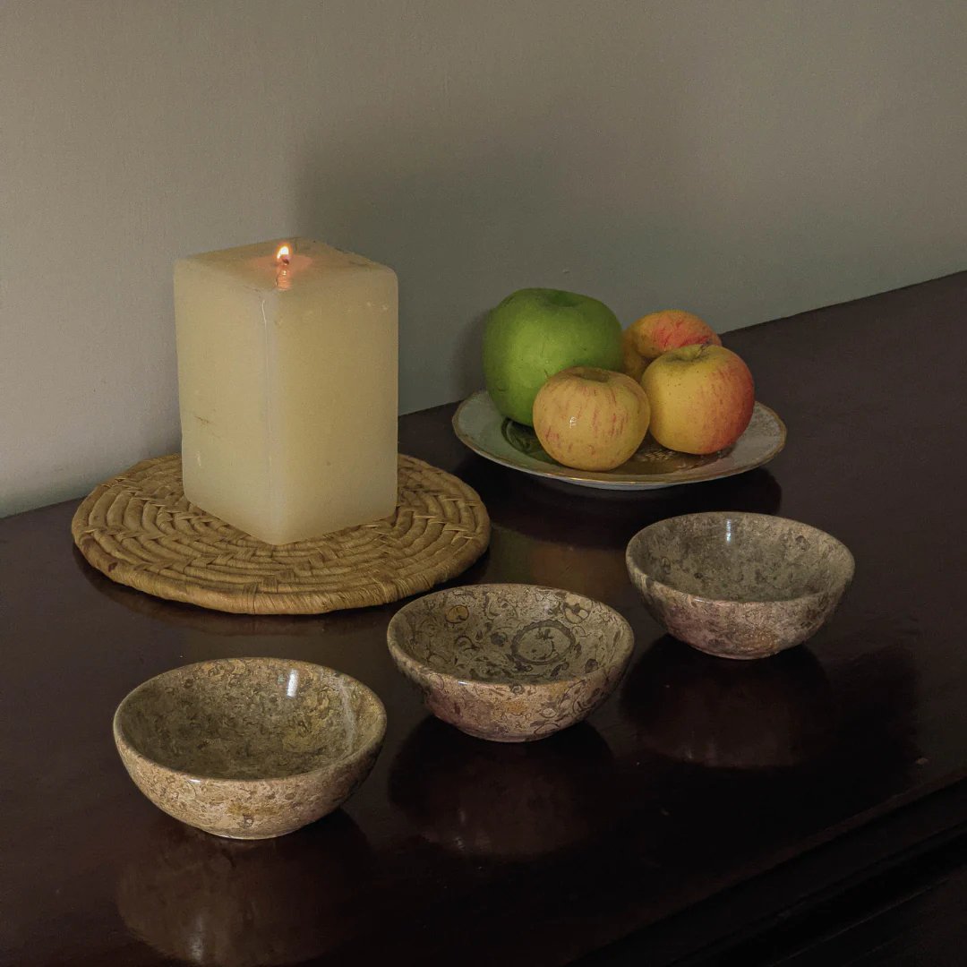 Fossil stone bowl product image (3)