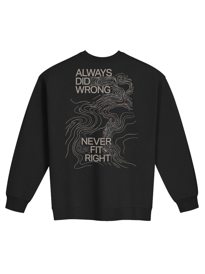 Sweatshirt product image (2)