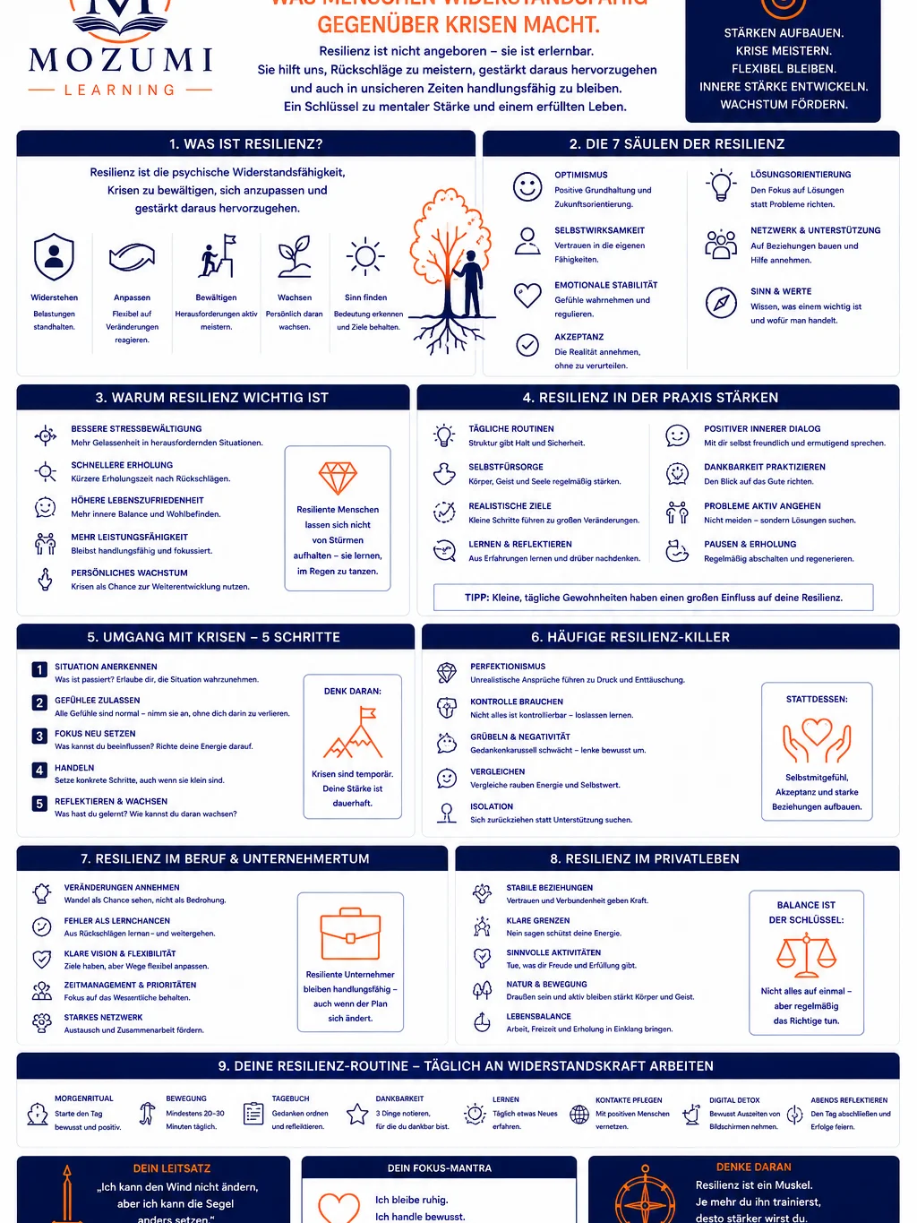 KRISENVORSORGE & RESILIENZ - Infografik Nr. 1 (Resilienz verstehen) product image (1)