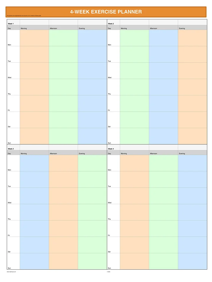4 Week Exercise Planner product image (1)