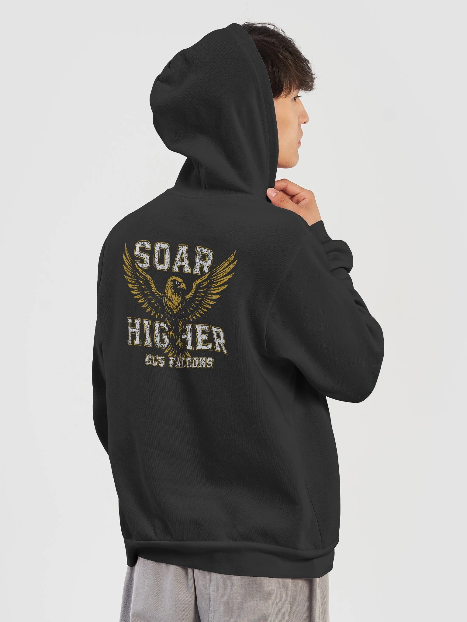 Soar Higher Falcon Hoodie product image (9)