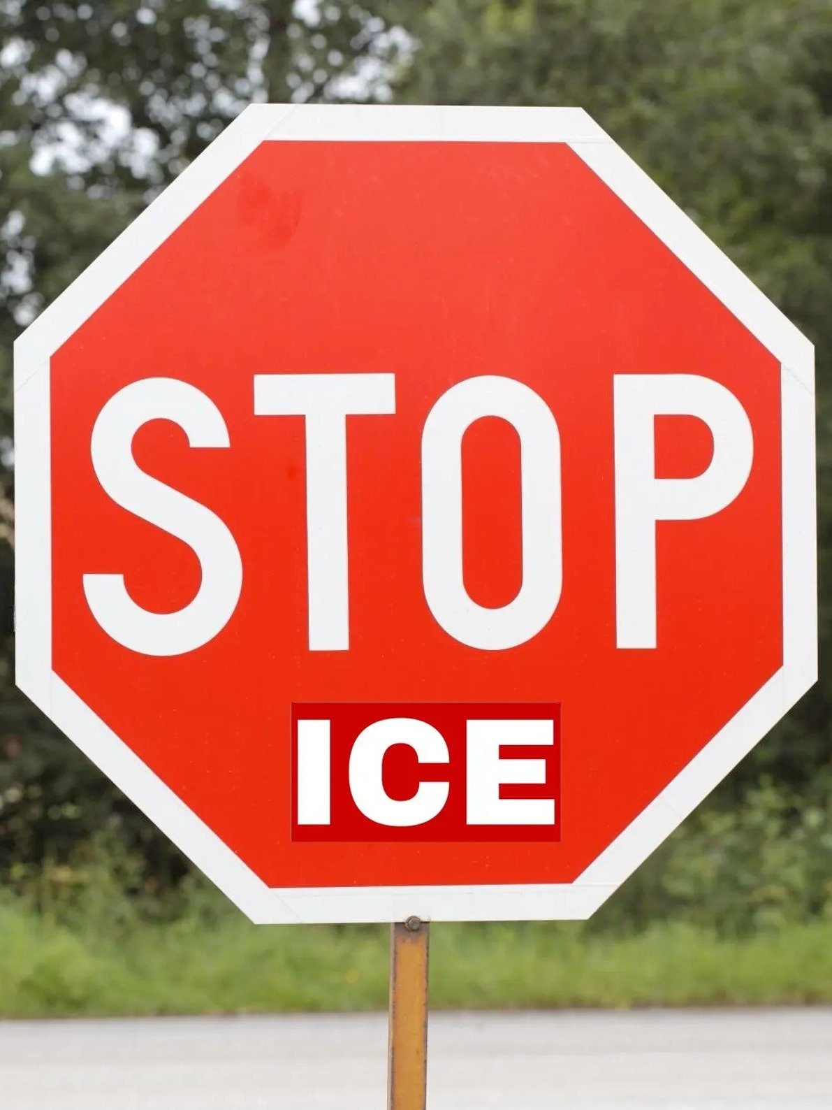 Stop ICE Red Sticker product image (2)