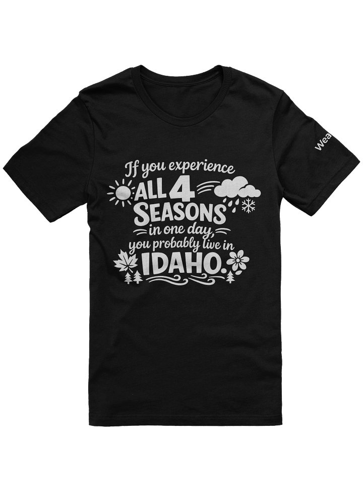 4 Seasons T-Shirt product image (2)