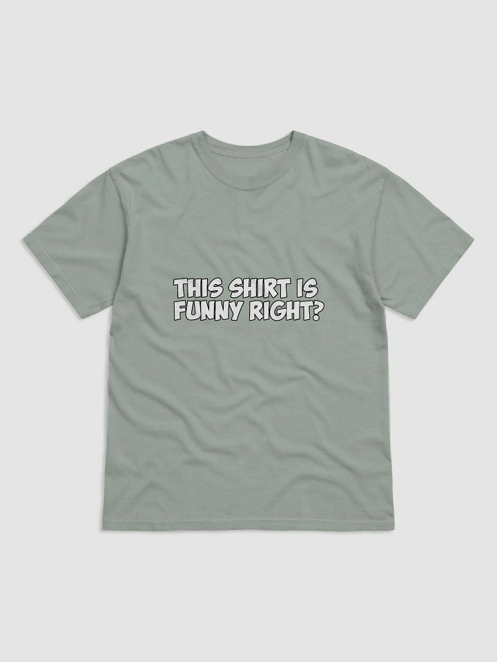 This Shirt Is Funny Right? product image (7)