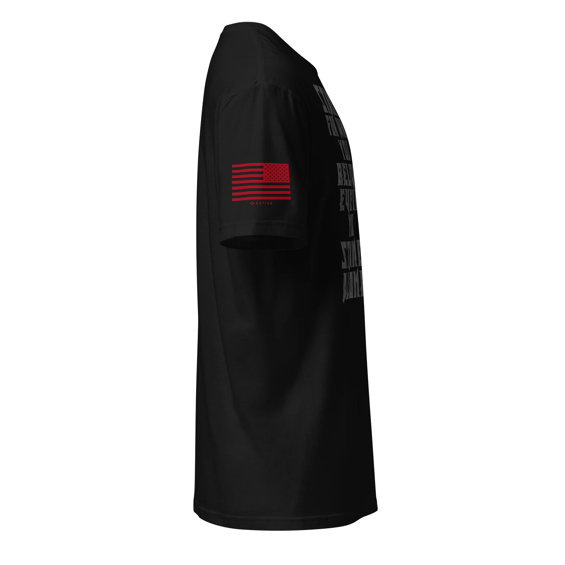 Templar: Stand Alone product image (3)