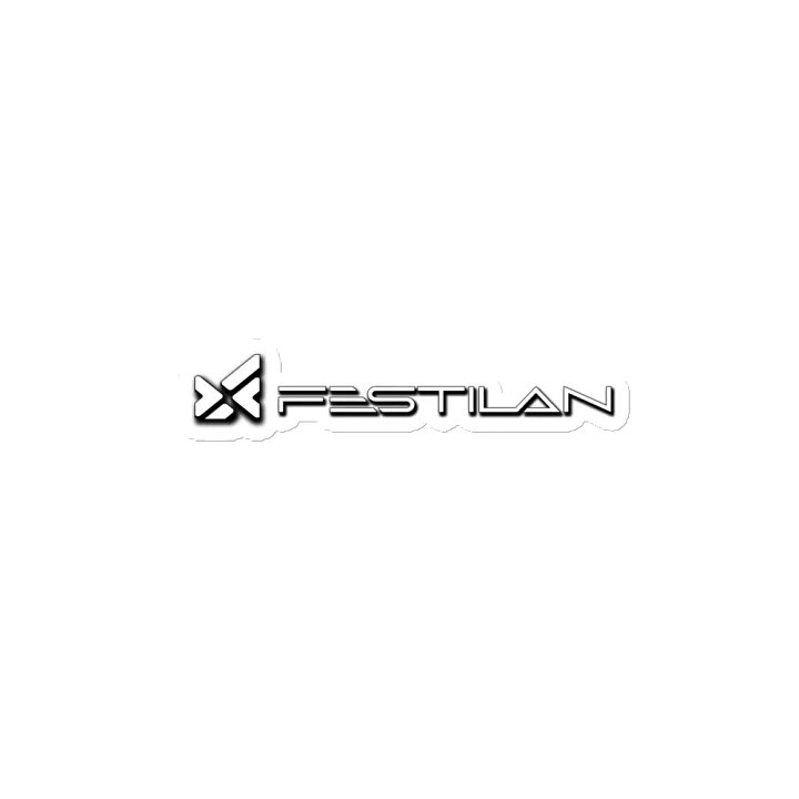 Aimant Festilan product image (2)