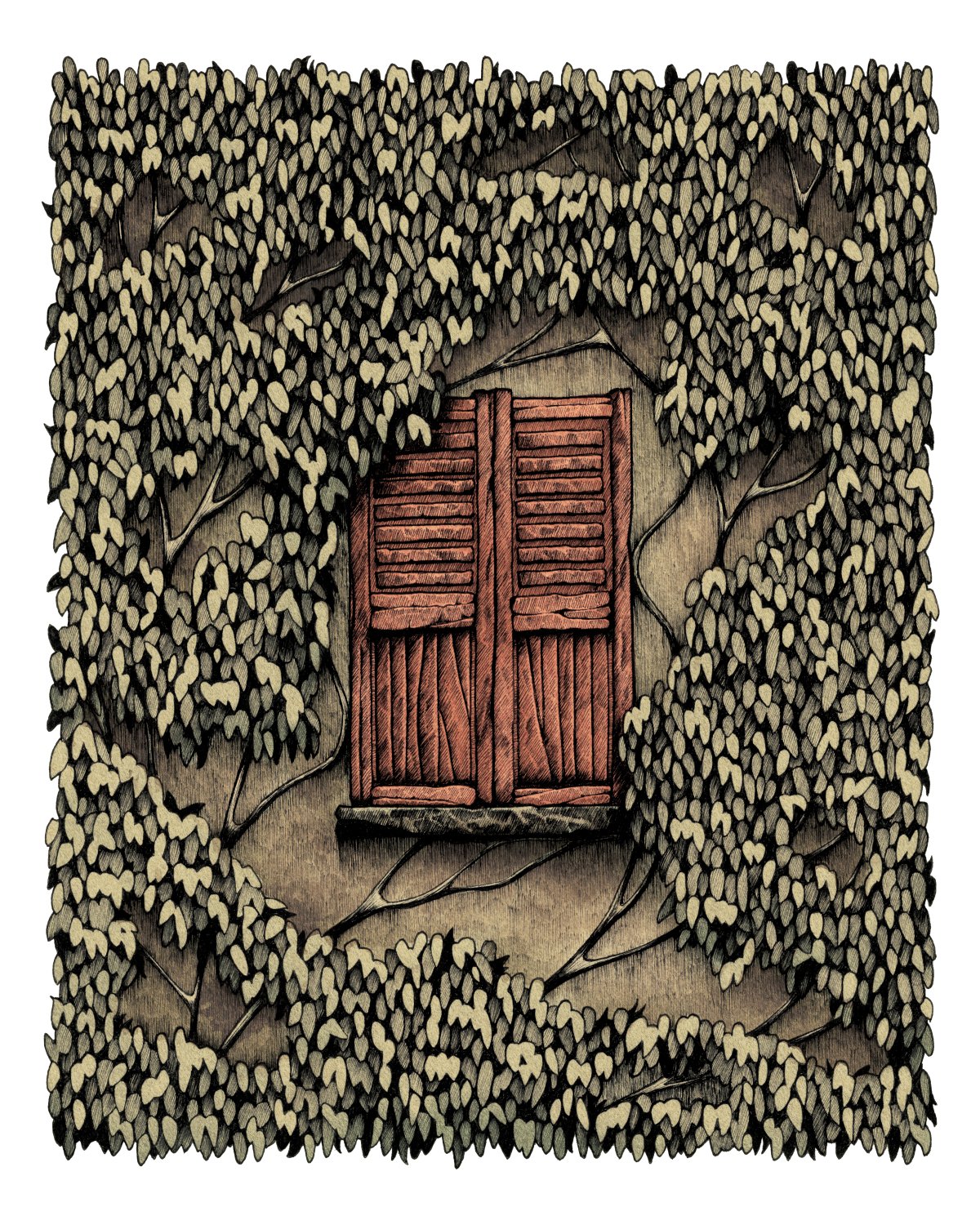 Window In The Woods - Colour product image (2)