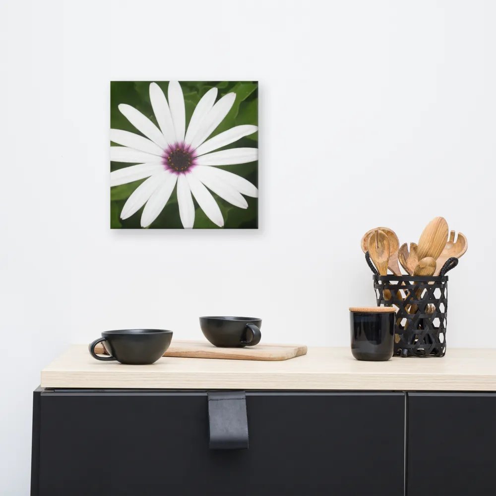 Daisy on Canvas product image (8)