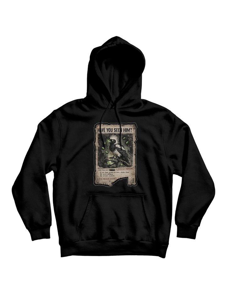 Have You Seen Him? Hoodie product image (1)