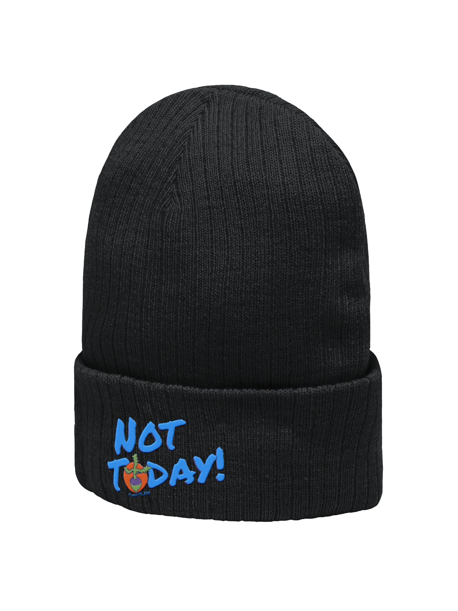 NT Ribbed Knit Beanie product image (9)