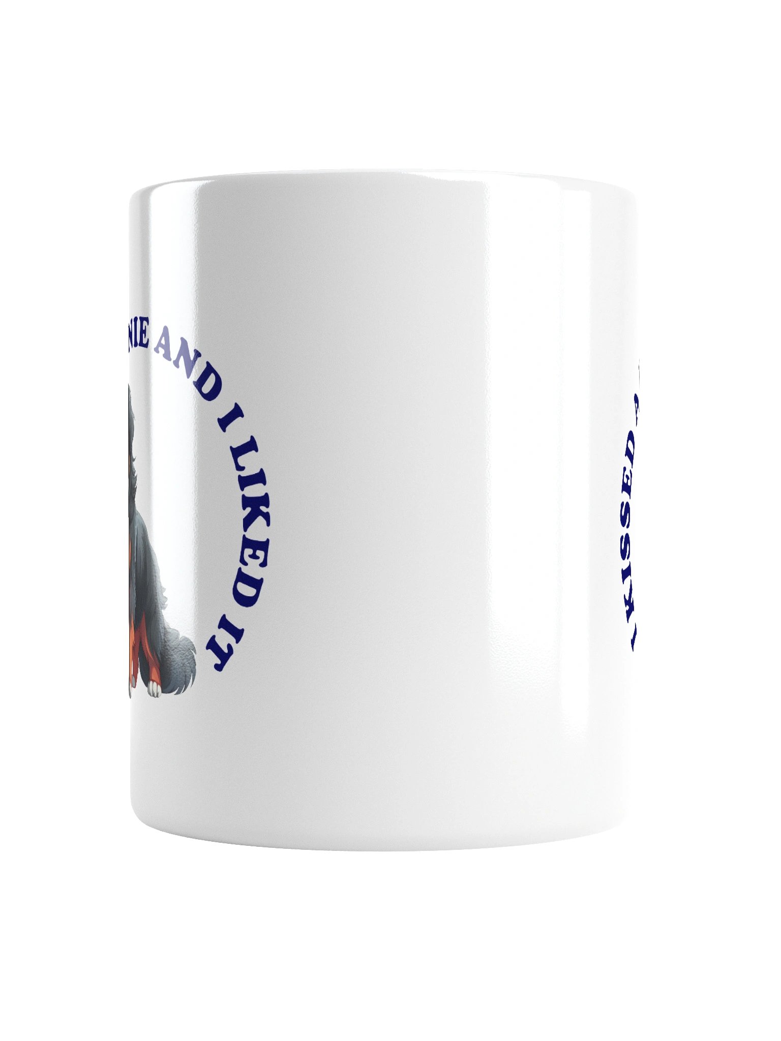 I Kissed a Bernie, Mug product image (16)