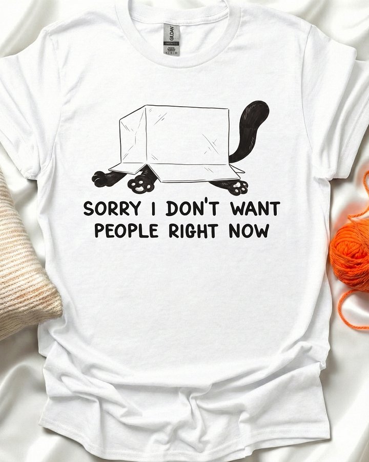 Introvert Cat Box T-Shirt product image (4)