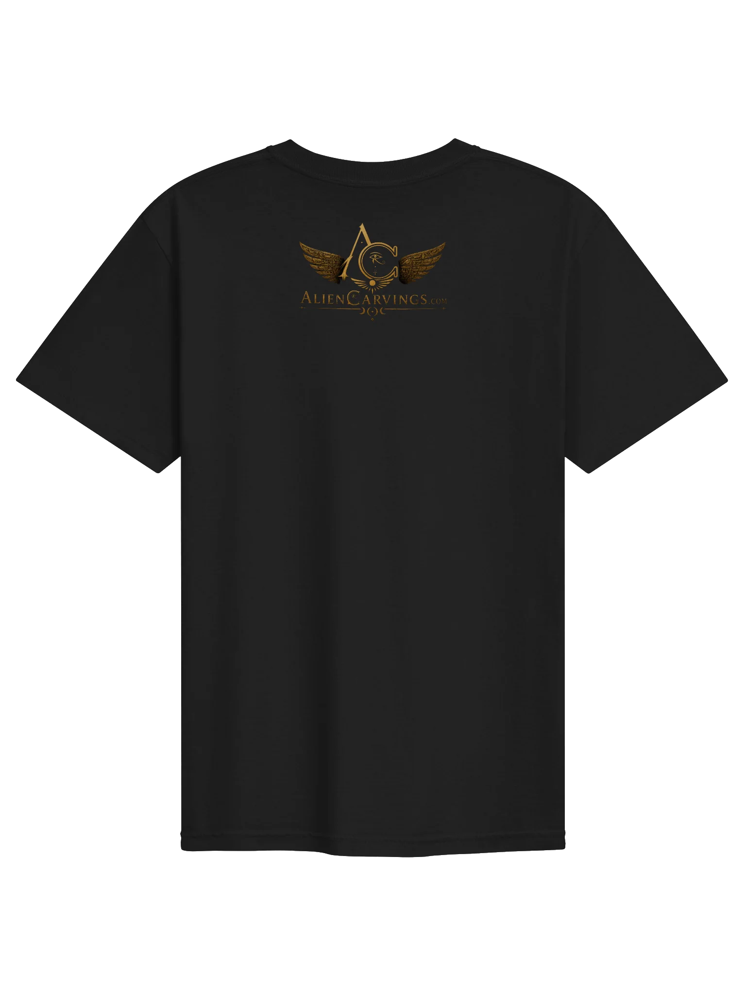Chronomonitor's and Their Satellites Premium T-Shirt product image (2)