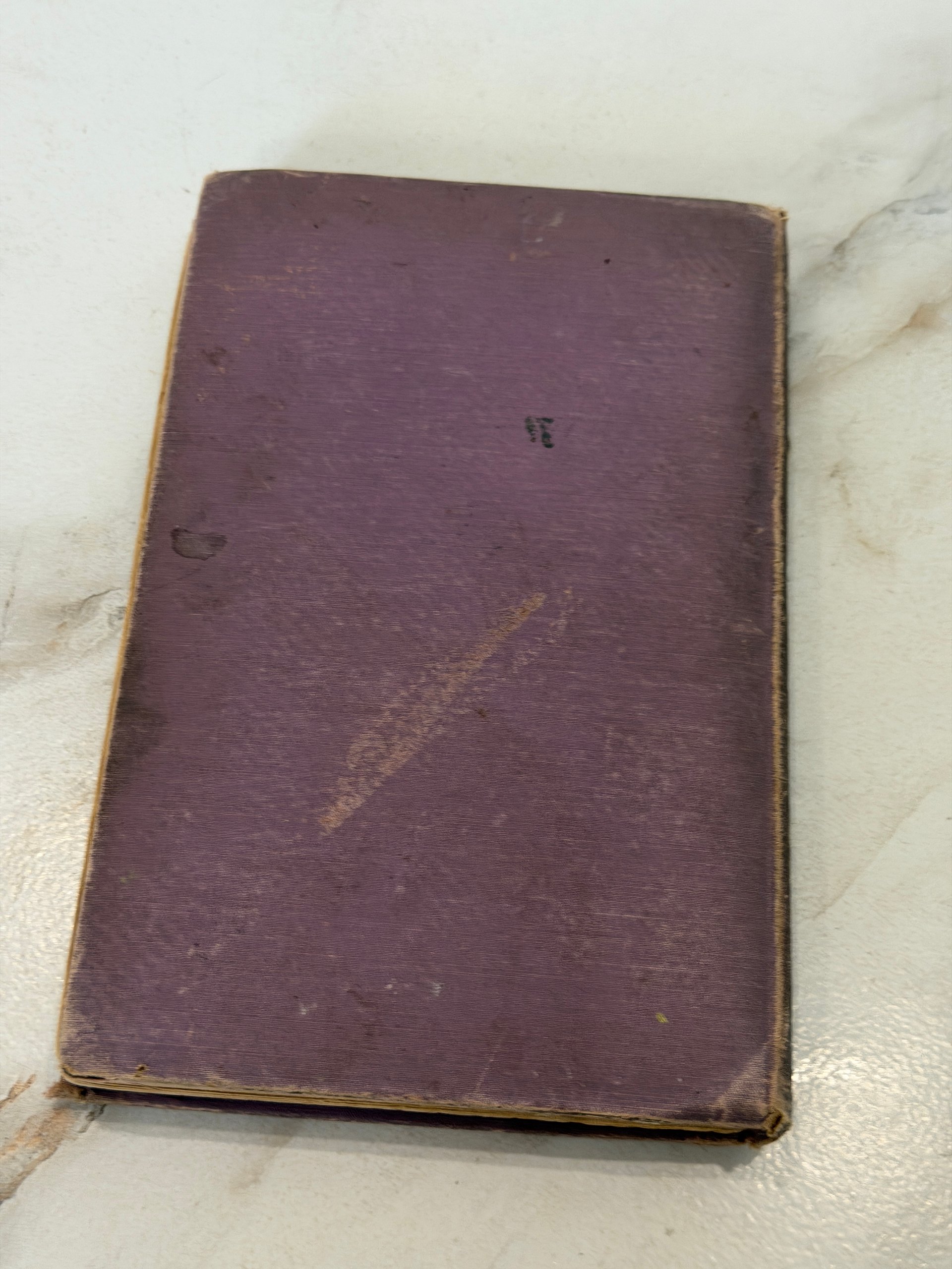 1904 | The First Christmas from Ben Hur | Lew Wallace | Antique Illustrated Christmas Book product image (8)