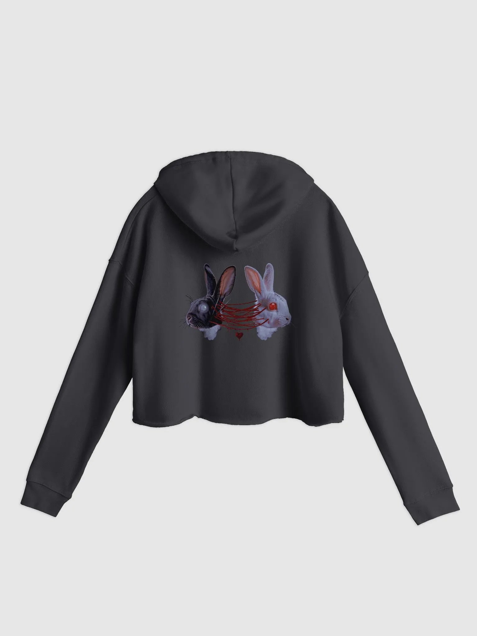 Bound Cropped Hoodie product image (1)