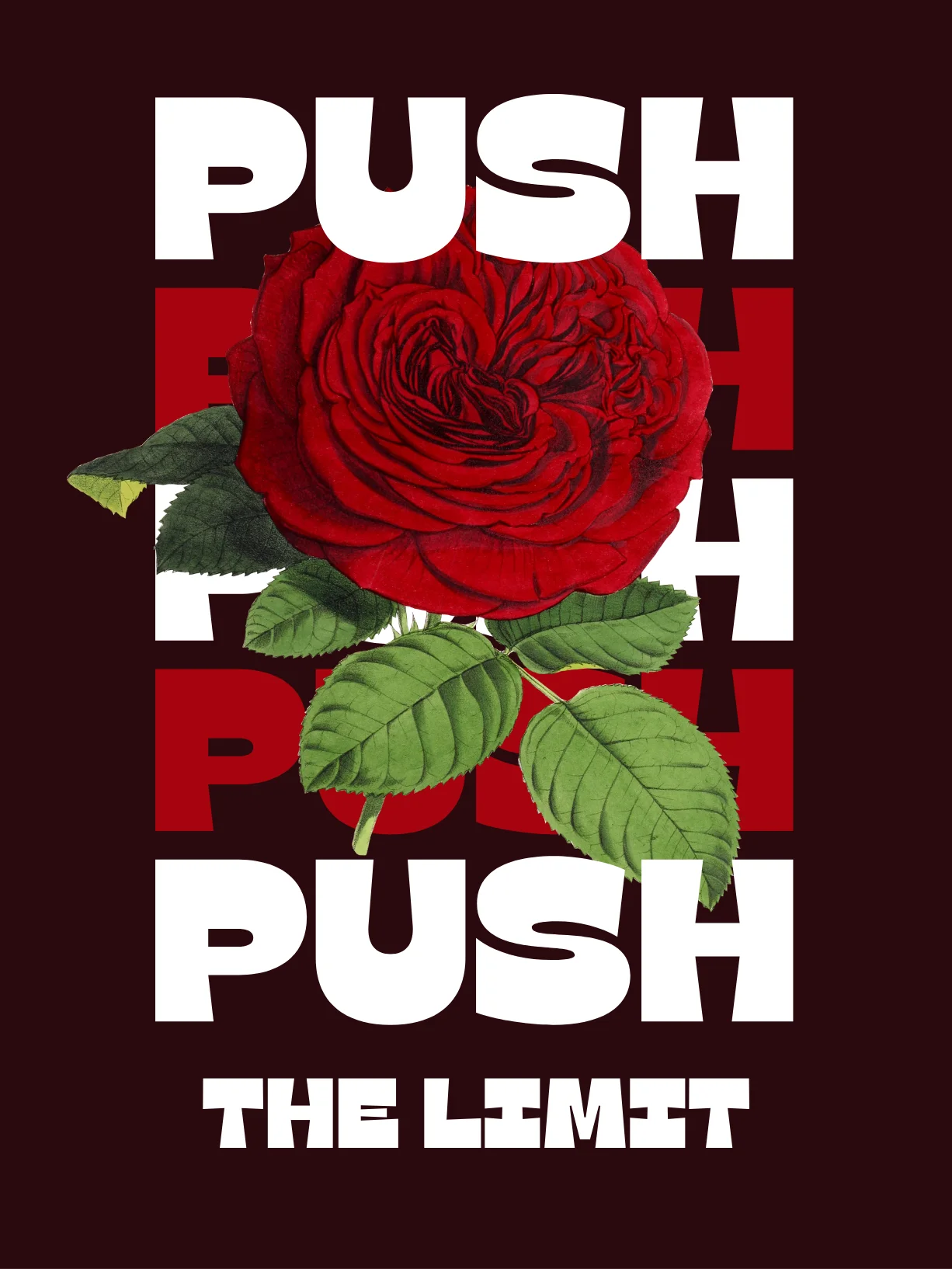 Push the Limit Hoodie product image (2)