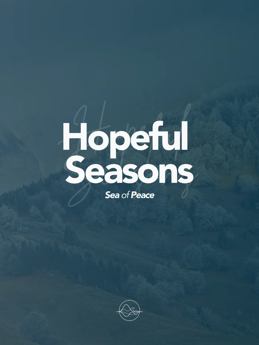 Hopeful Seasons - EP product image (1)