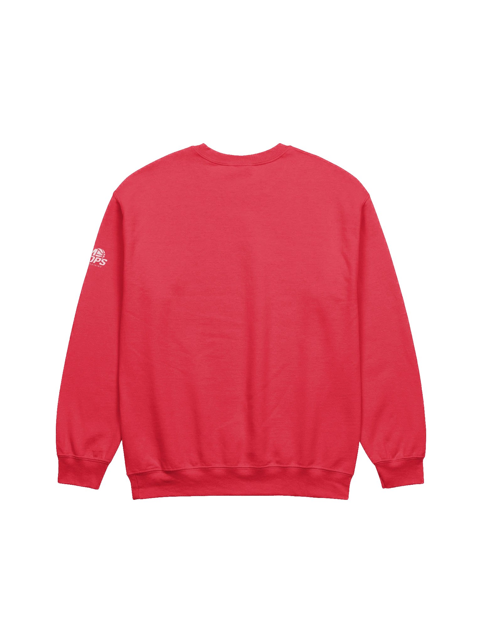 REPS 2 RESULTS CREWNECK product image (3)