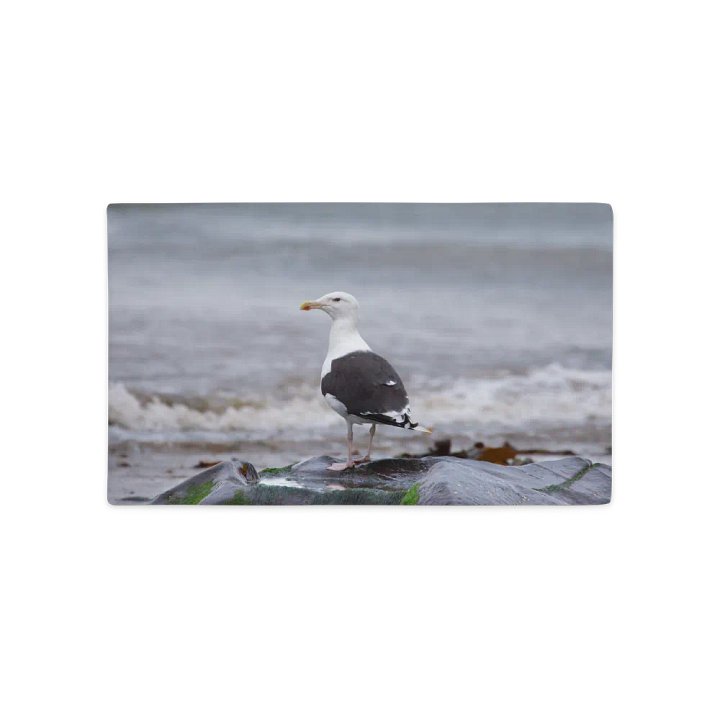 Seagull on Beach Rock Pillow product image (1)